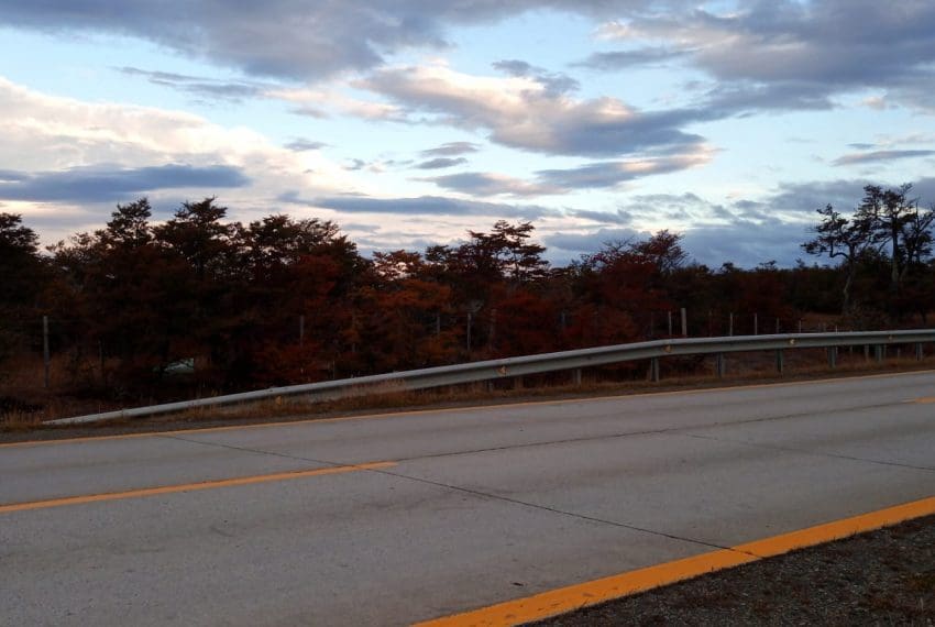 WhatsApp Image 2021-10-16 at 10.37.09 (18)