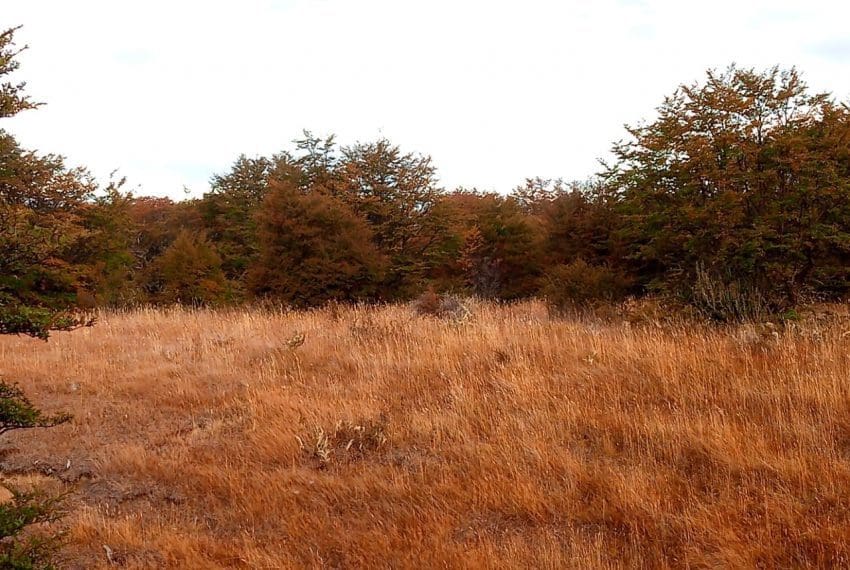 WhatsApp Image 2021-10-16 at 10.37.09 (19)