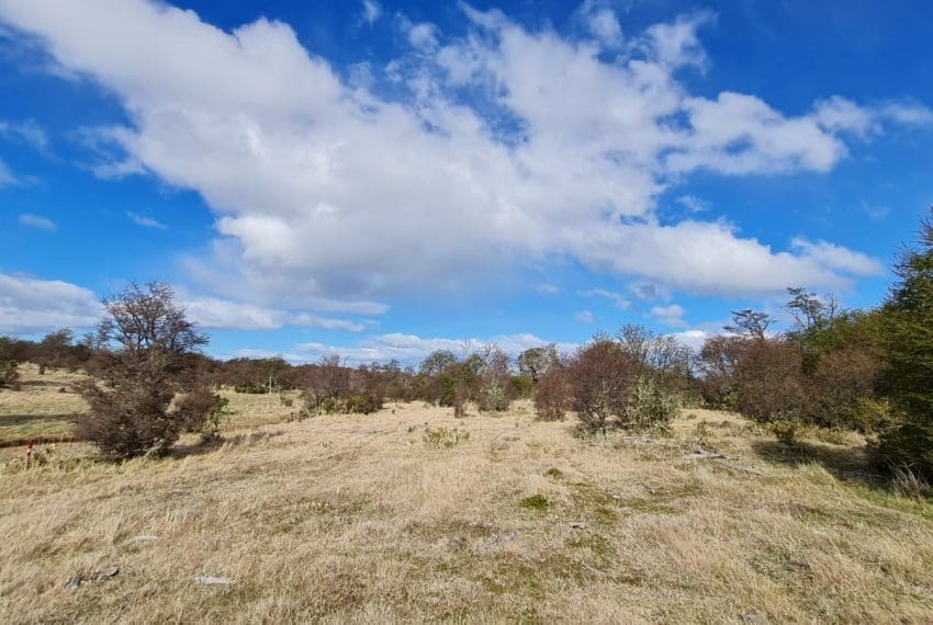 WhatsApp Image 2021-10-18 at 18.11.19 (2)