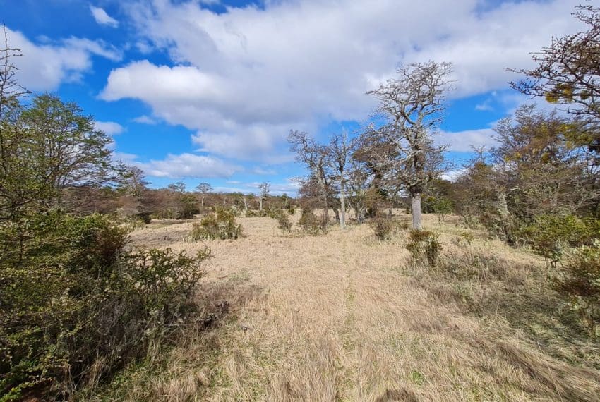 WhatsApp Image 2021-10-18 at 18.11.19