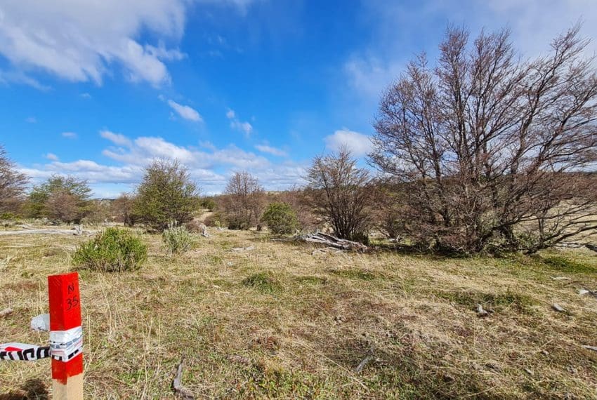 WhatsApp Image 2021-10-18 at 18.11.20 (2)