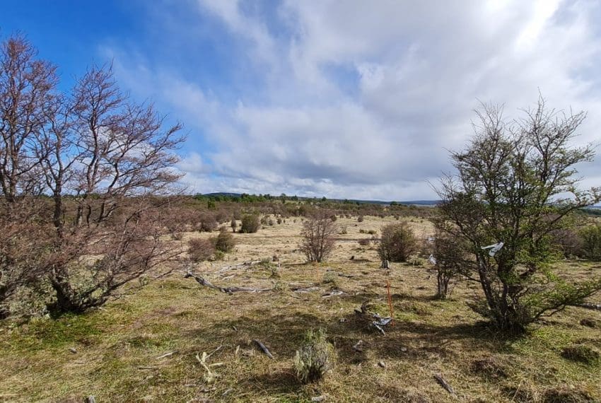 WhatsApp Image 2021-10-18 at 18.11.20 (3)