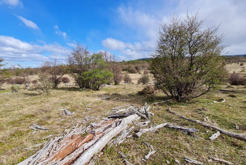 WhatsApp Image 2021-10-18 at 18.11.21 (1)