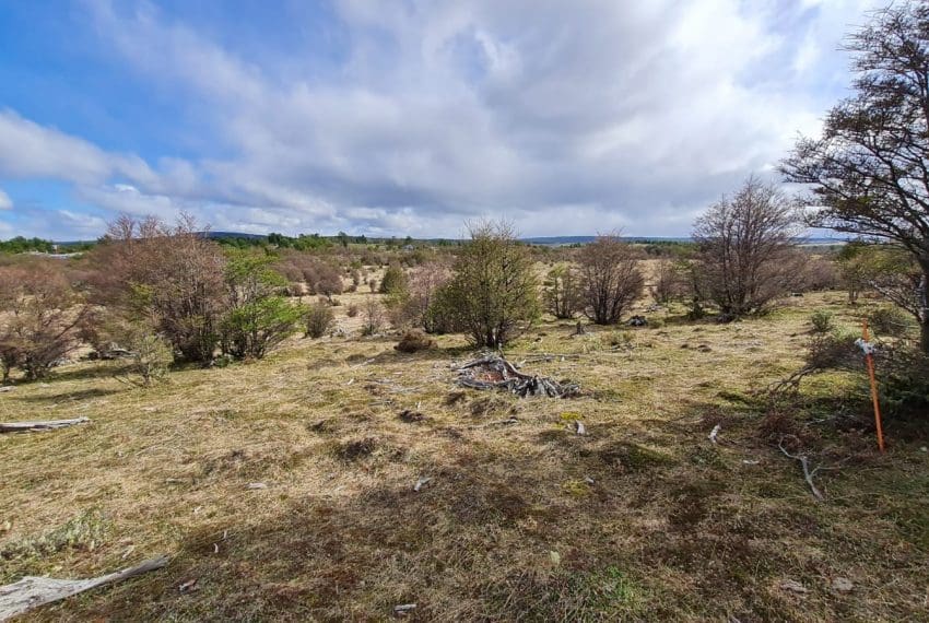 WhatsApp Image 2021-10-18 at 18.11.21 (2)