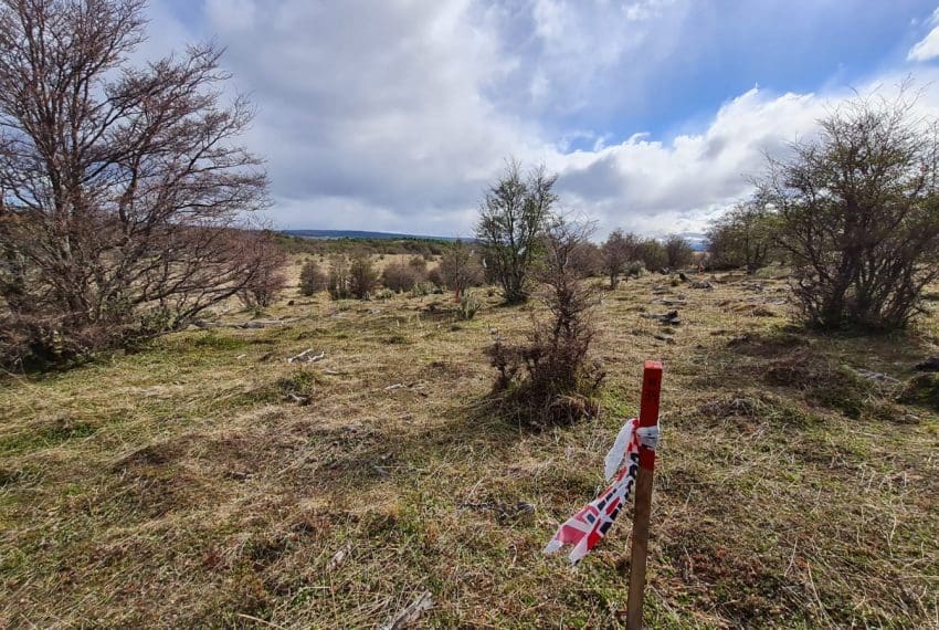 WhatsApp Image 2021-10-18 at 18.11.21