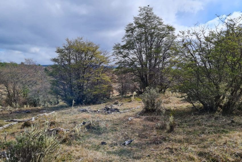 WhatsApp Image 2021-10-18 at 18.11.22 (3)