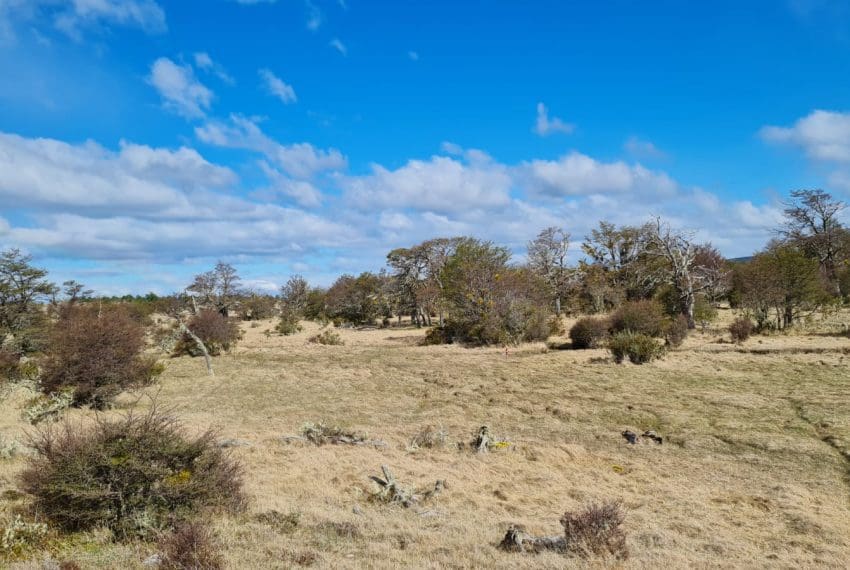 WhatsApp Image 2021-10-18 at 18.11.22 (4)