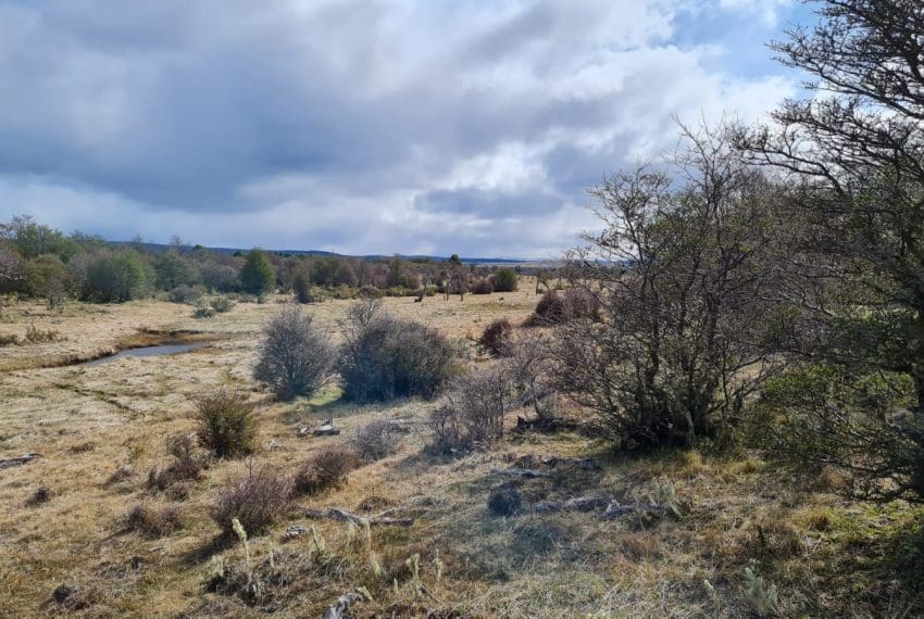 WhatsApp Image 2021-10-18 at 18.11.22 (5)