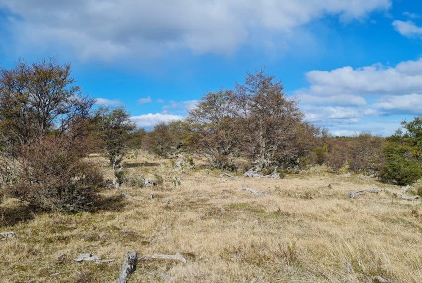 WhatsApp Image 2021-10-18 at 18.11.22 (6)