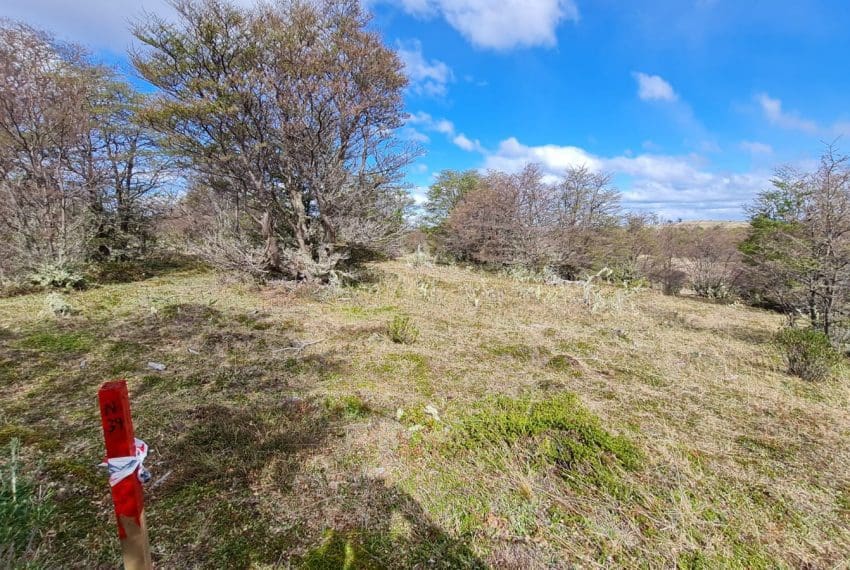 WhatsApp Image 2021-10-18 at 18.11.22