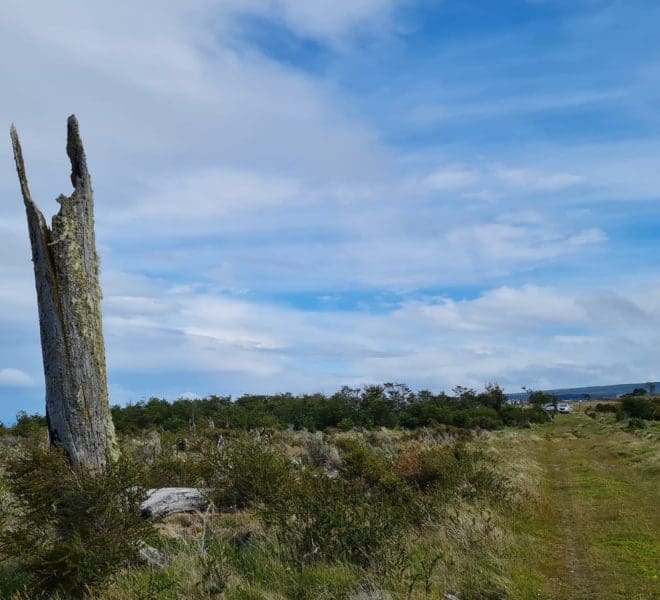 WhatsApp Image 2021-12-20 at 16.20.28