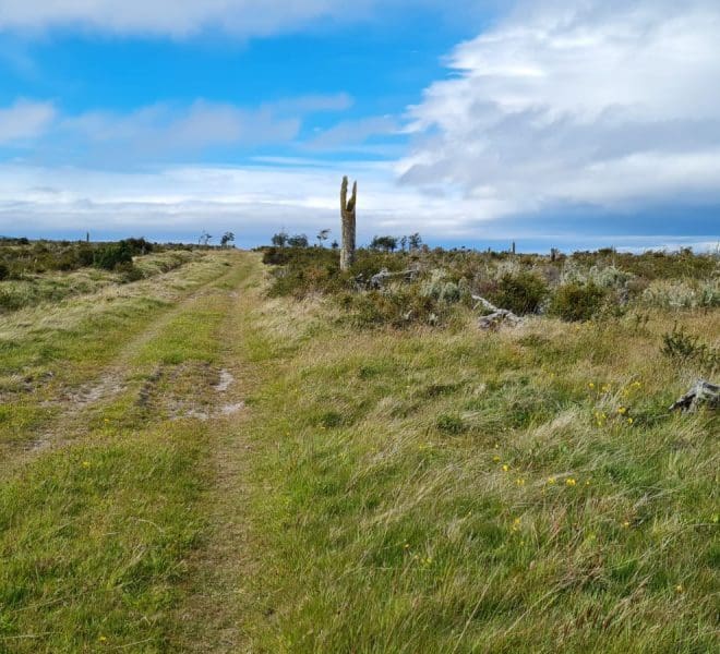 WhatsApp Image 2021-12-20 at 16.20.29 (2)