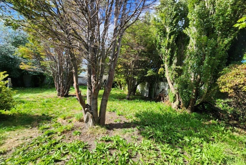 WhatsApp Image 2025-02-20 at 11.08.10