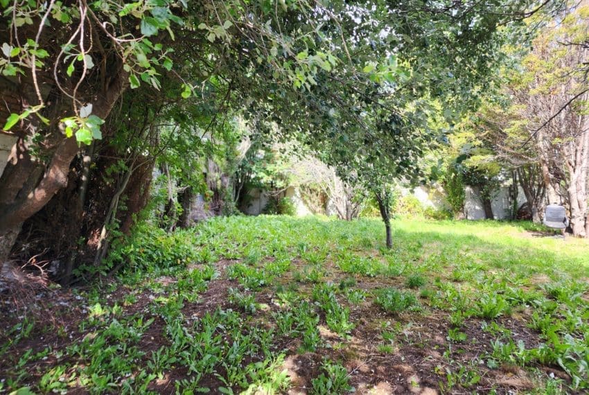 WhatsApp Image 2025-02-20 at 11.08.17 (1)