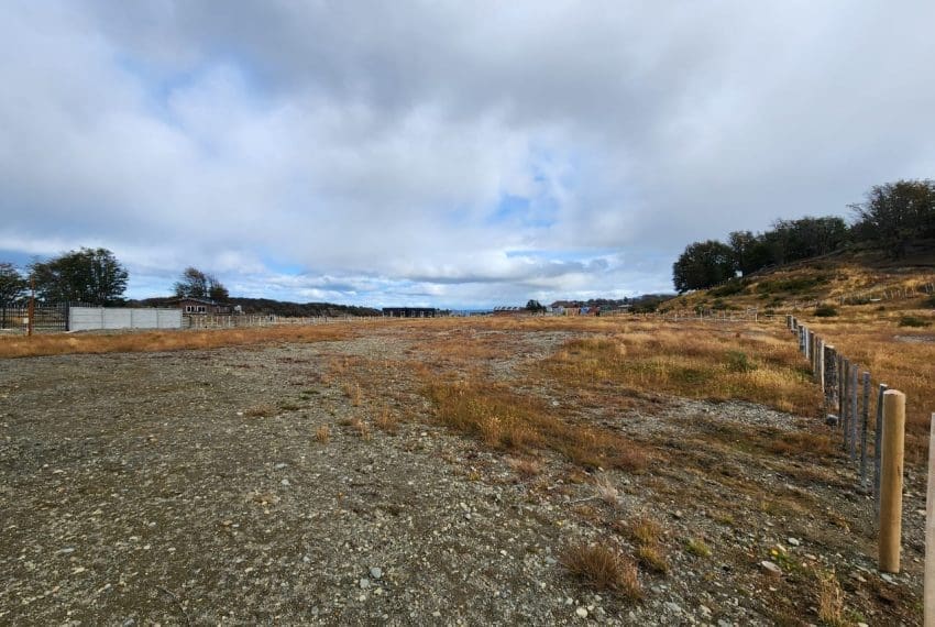 WhatsApp Image 2025-03-17 at 11.05.33