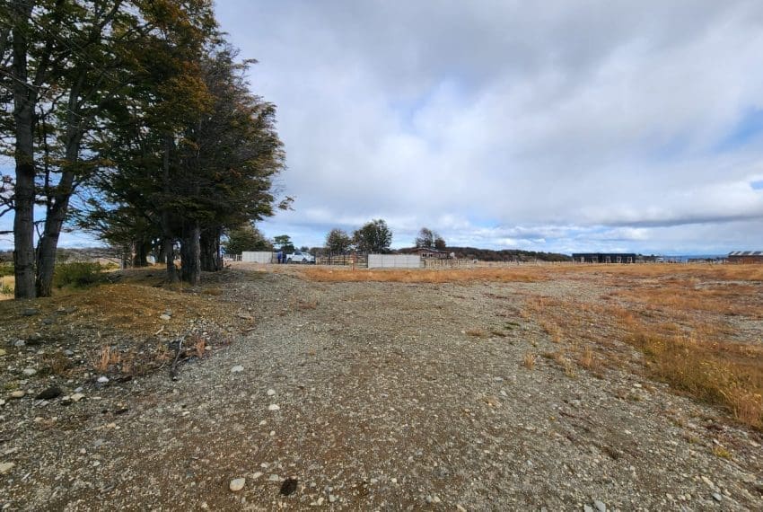 WhatsApp Image 2025-03-17 at 11.05.34