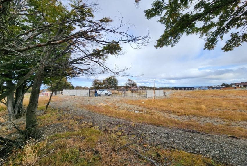 WhatsApp Image 2025-03-17 at 11.05.35 (1)