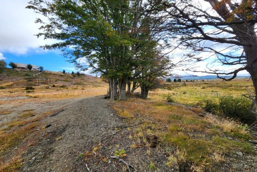 WhatsApp Image 2025-03-17 at 11.05.35 (2)