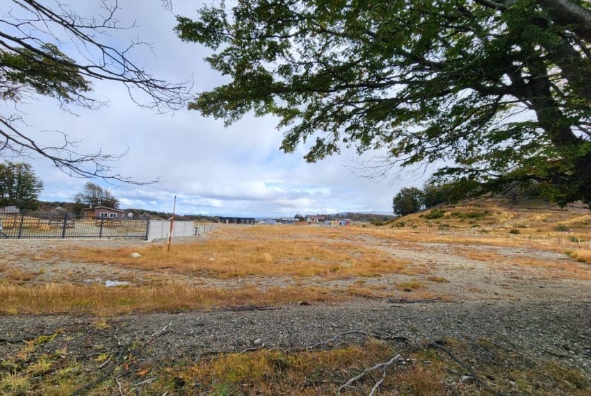 WhatsApp Image 2025-03-17 at 11.05.35