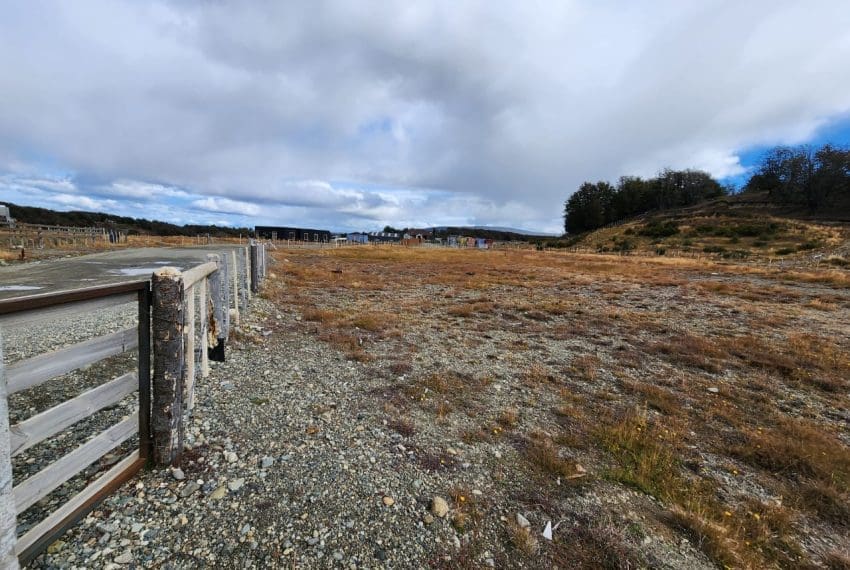 WhatsApp Image 2025-03-17 at 11.05.36