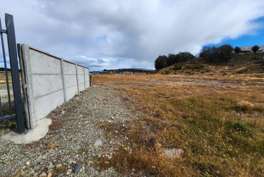 WhatsApp Image 2025-03-17 at 11.05.37 (2)