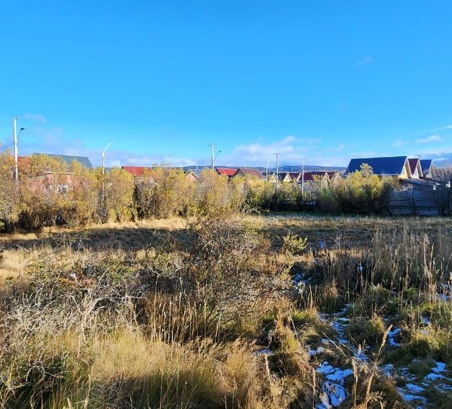 Imagen de WhatsApp 2025-05-26 a las 10.12.36_70c994eb