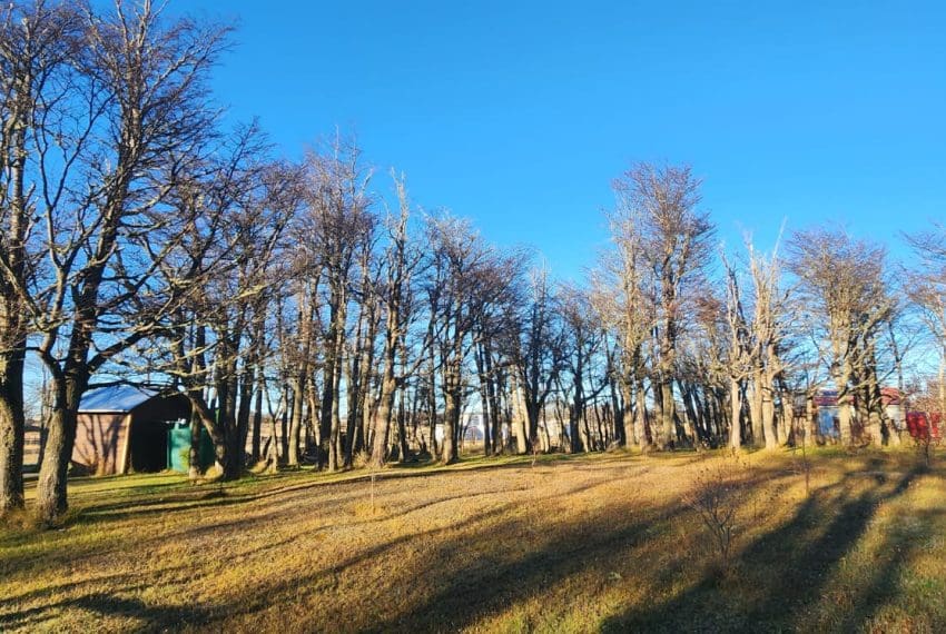 Imagen de WhatsApp 2025-05-27 a las 14.39.47_fb1c7144