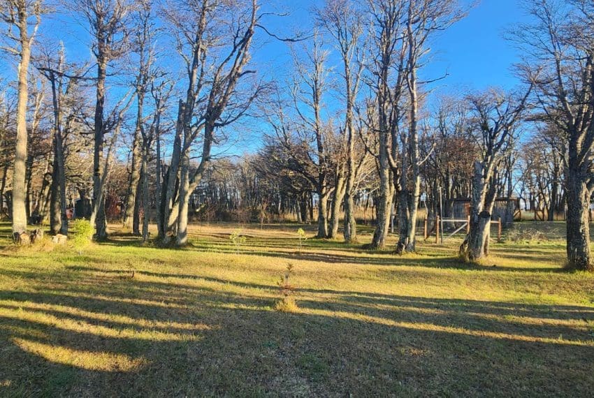 Imagen de WhatsApp 2025-05-27 a las 14.39.51_016941e2