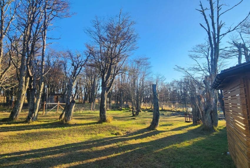 Imagen de WhatsApp 2025-05-27 a las 14.39.51_37a8d9e8