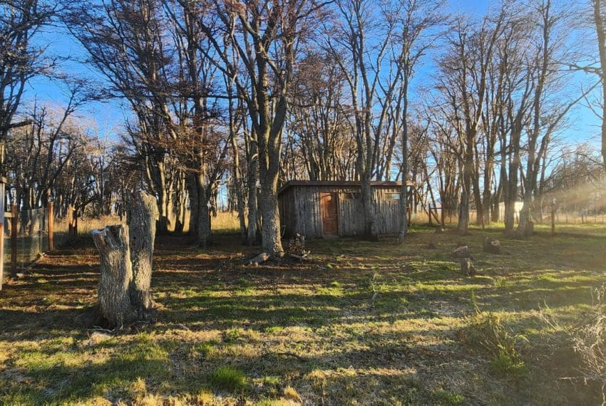 Imagen de WhatsApp 2025-05-27 a las 14.39.51_8b764724