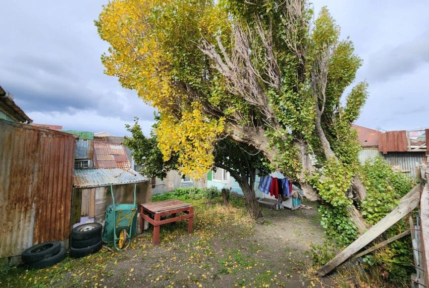 WhatsApp Image 2025-04-09 at 11.48.52