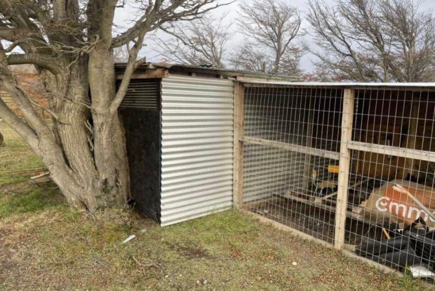 WhatsApp Image 2025-06-23 at 12.09.54 (2)