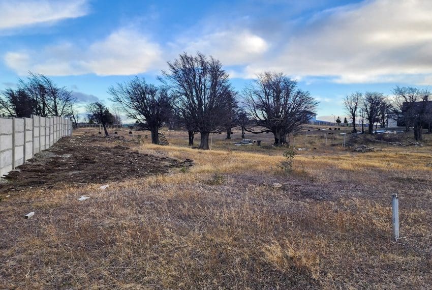 20250821_180323 (1) (1)