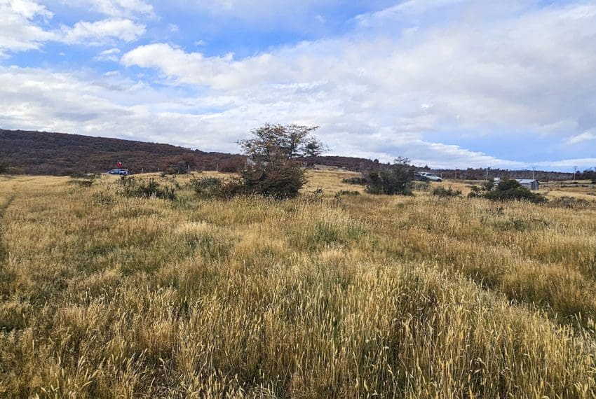 IMG-20250421-WA0011 (1)