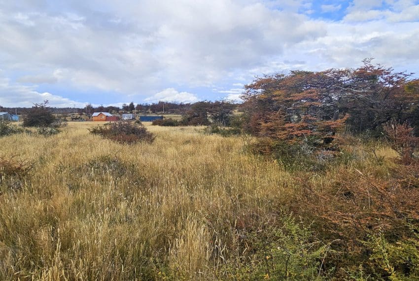 IMG-20250421-WA0015 (1)