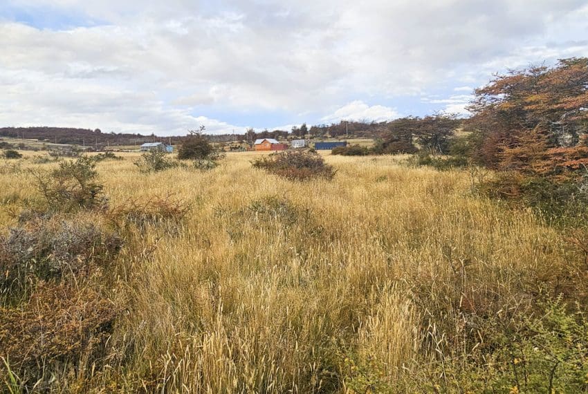 IMG-20250421-WA0017 (1)