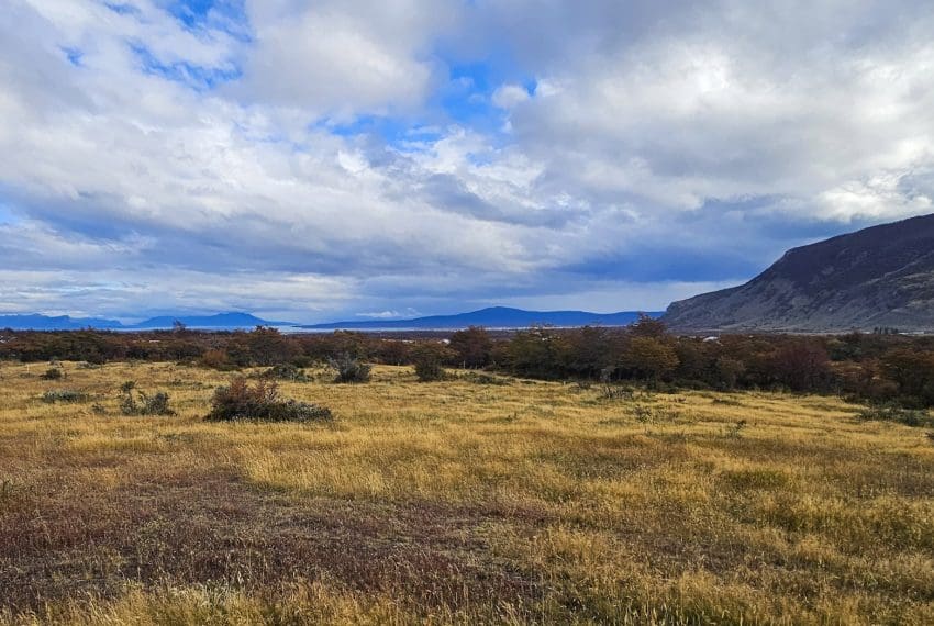 IMG-20250421-WA0035 (1)