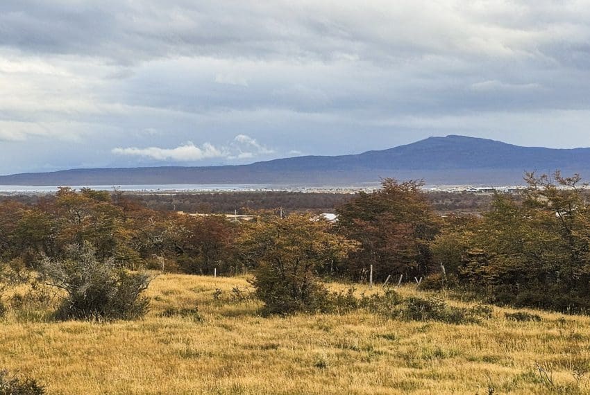 IMG-20250421-WA0076 (1)