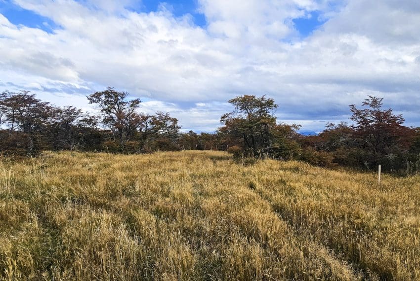 IMG-20250421-WA0090 (1)