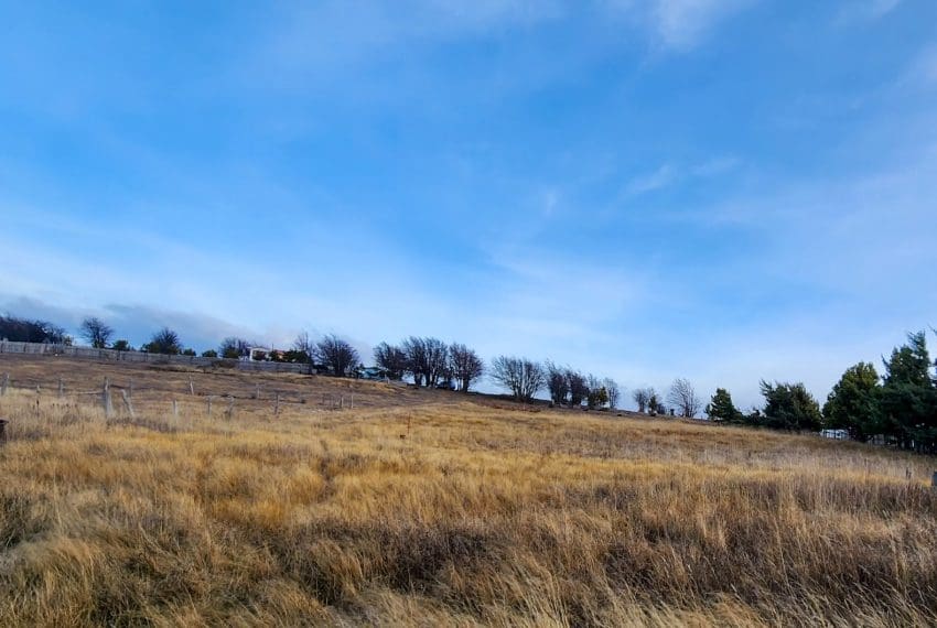 WhatsApp Image 2025-08-07 at 11.15.49 (2)