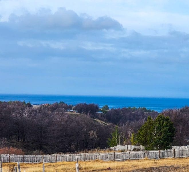 WhatsApp Image 2025-08-07 at 11.15.53