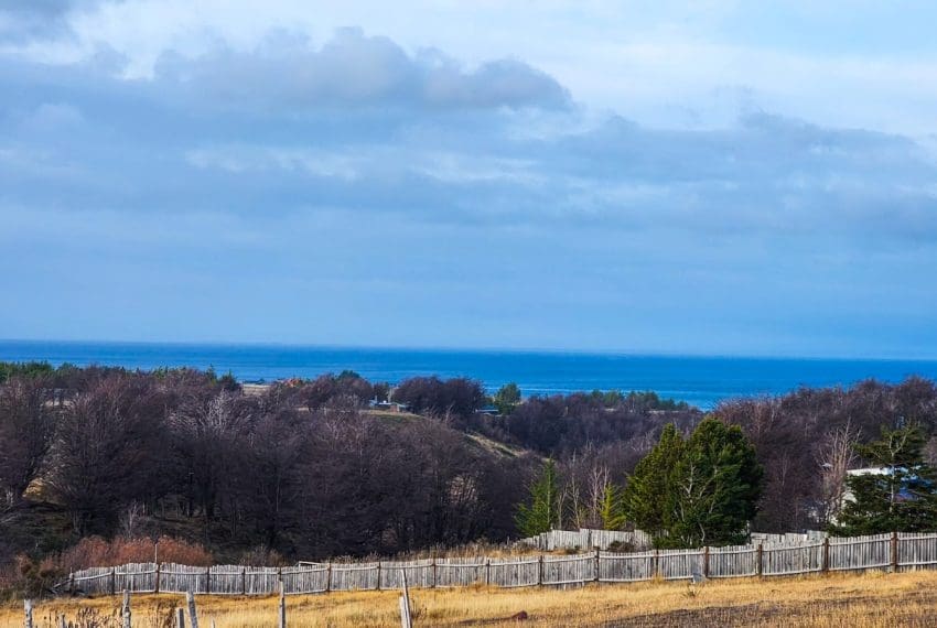 WhatsApp Image 2025-08-07 at 11.15.53