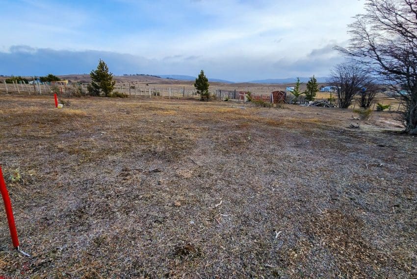 WhatsApp Image 2025-08-07 at 11.15.54