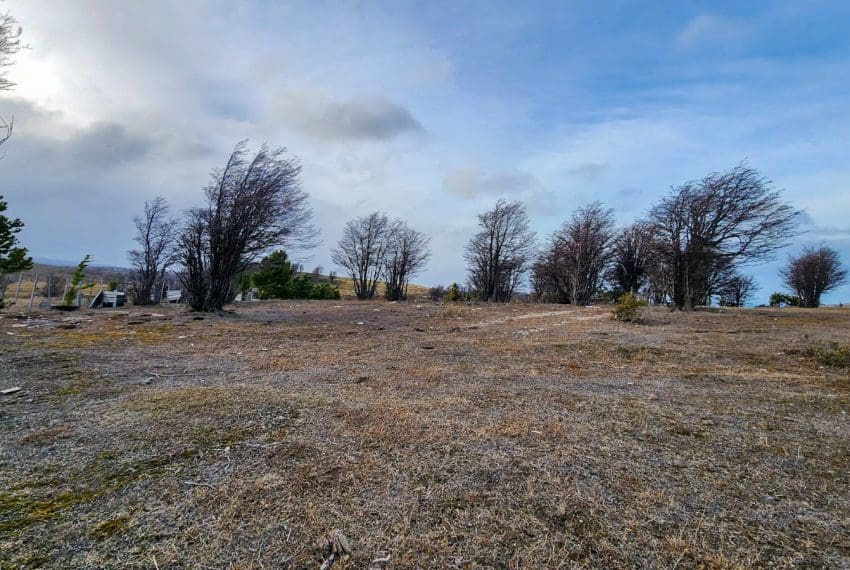 WhatsApp Image 2025-08-07 at 11.15.56