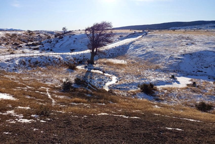 IMG-20250901-WA0009