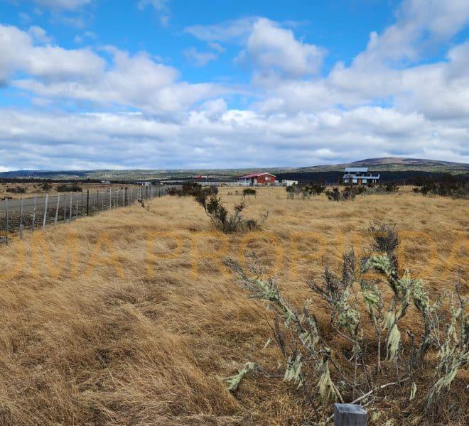 IMG-20251006-WA0015