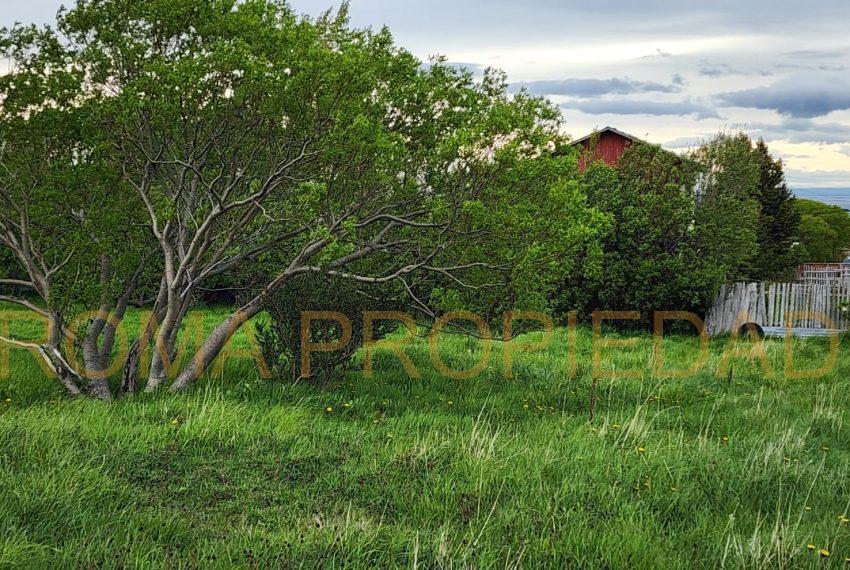 IMG-20251124-WA0007