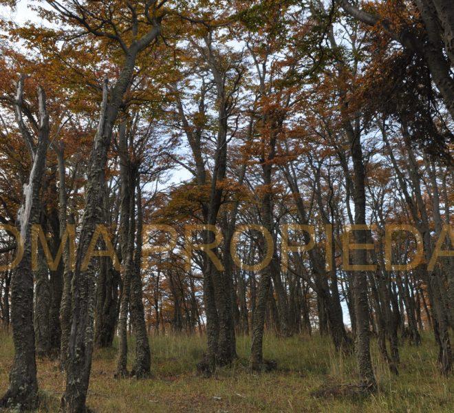 IMG-20251124-WA0022
