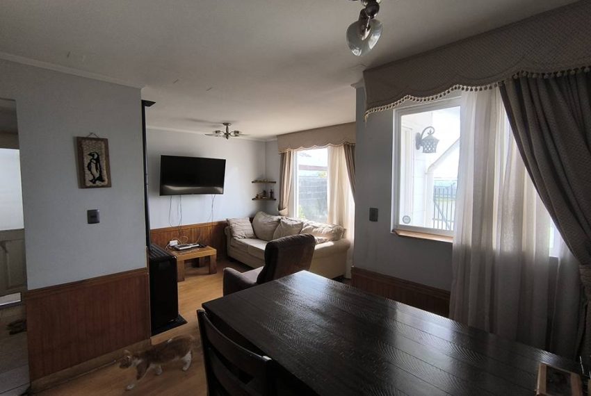 599704000_10239612232393771_4904172636682711761_n