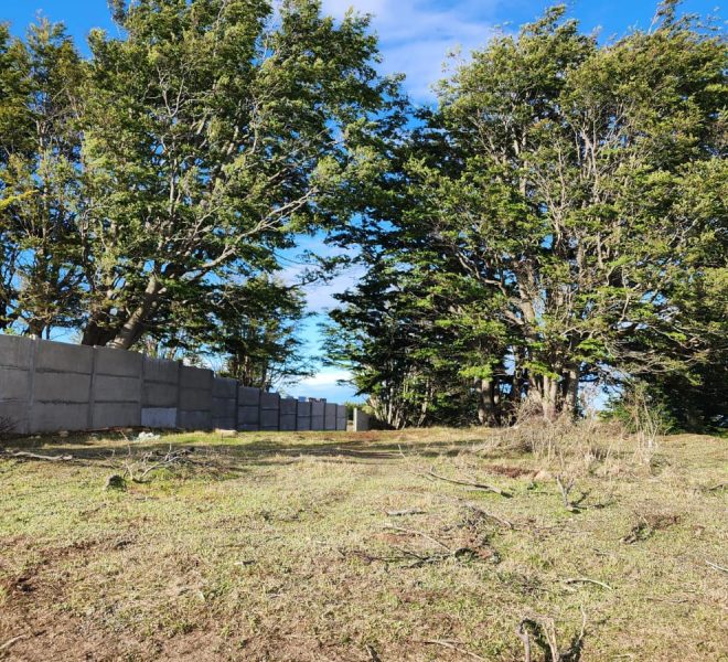 Imagen de WhatsApp 2025-11-28 a las 17.40.05_104cc70a